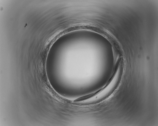 X0000053070969200508011936