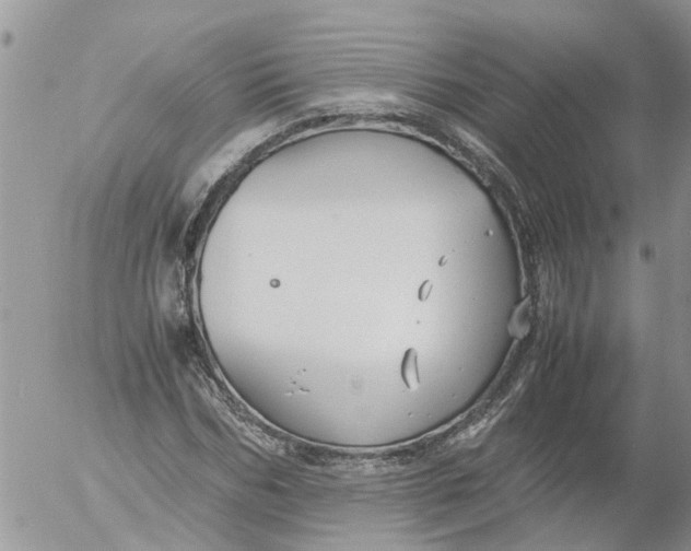 X0000053070970200508011936