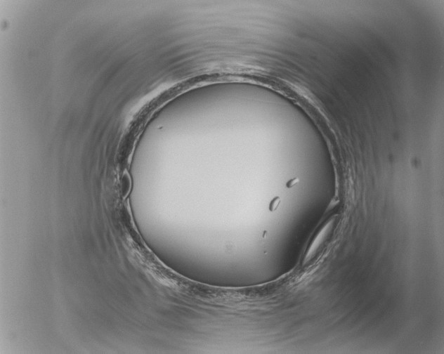 X0000053070971200508011936