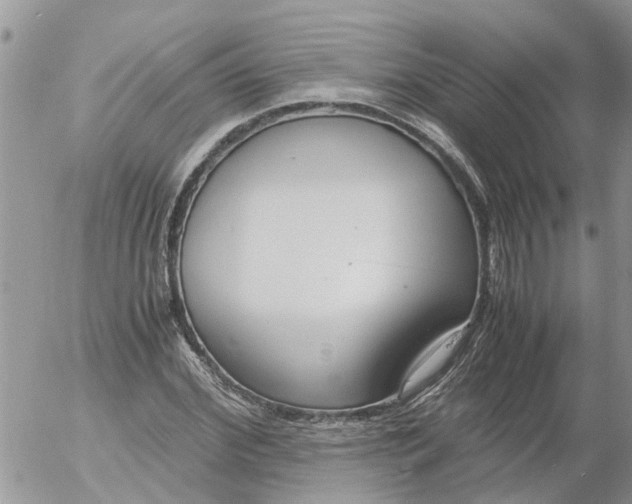 X0000053070972200508011936