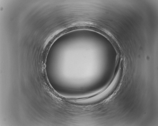 X0000053070973200508011936