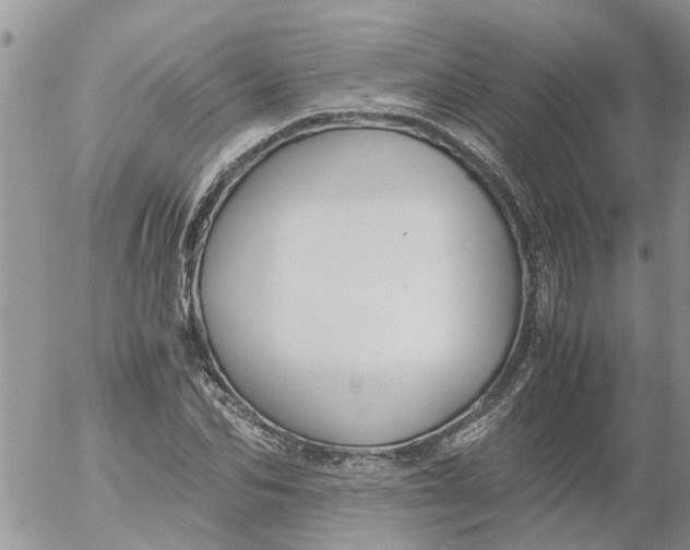 X0000053070974200508011936