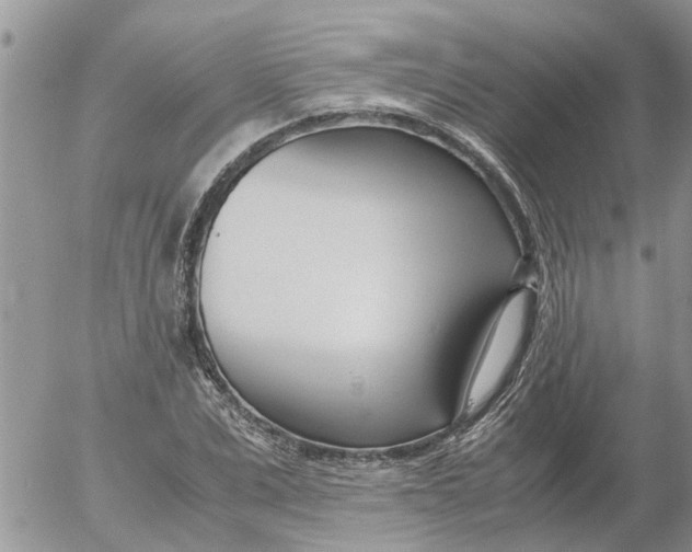 X0000053070975200508011935