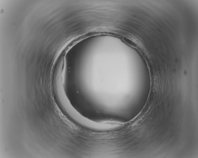 X0000053070976200508011935