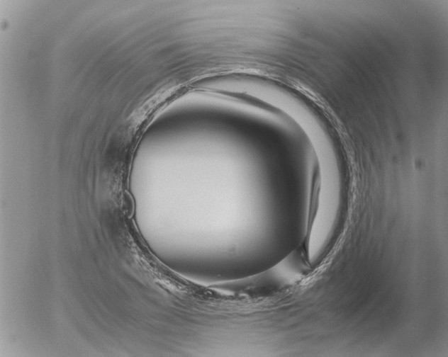 X0000053070977200508011935