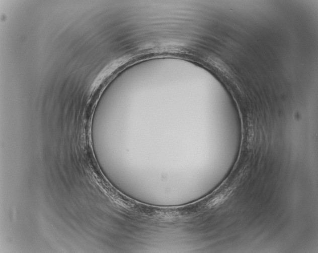 X0000053070978200508011935