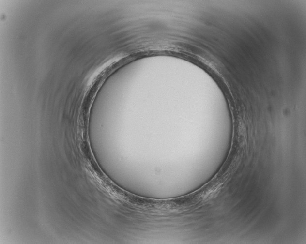 X0000053070979200508011935