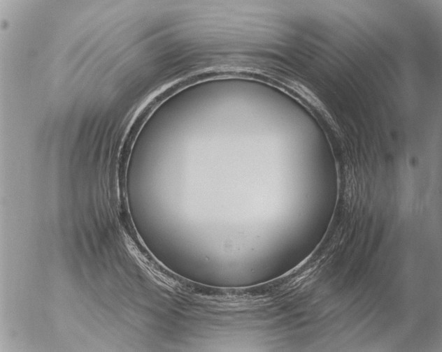 X0000053070980200508011935