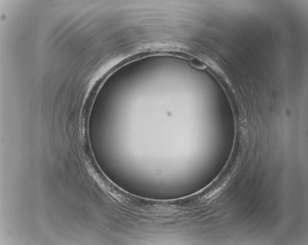 X0000053070981200508011935