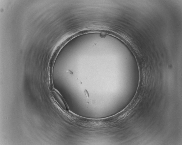 X0000053070982200508011935