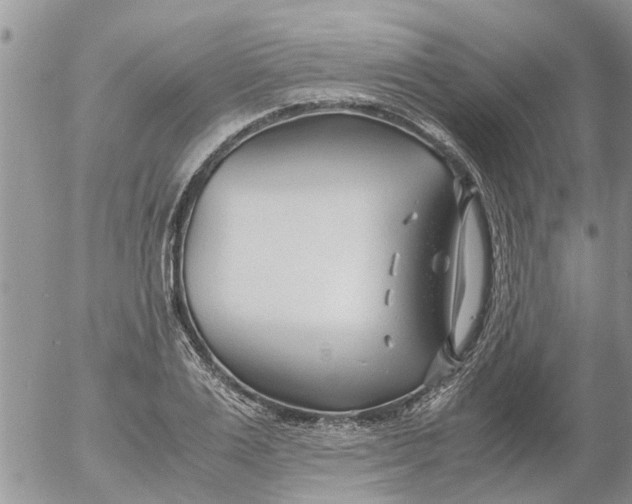 X0000053070983200508011935