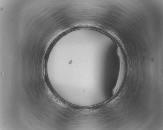 X0000053070984200508011935