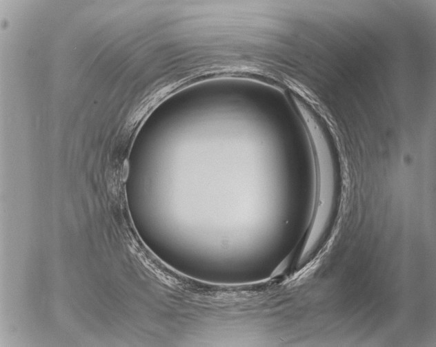 X0000053070985200508011935