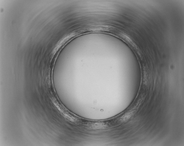 X0000053070986200508011935