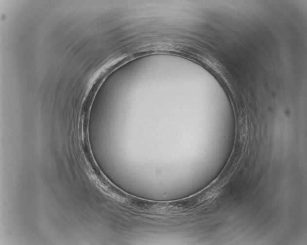 X0000053070987200508011935