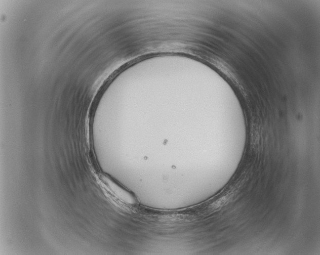 X0000053070988200508011935