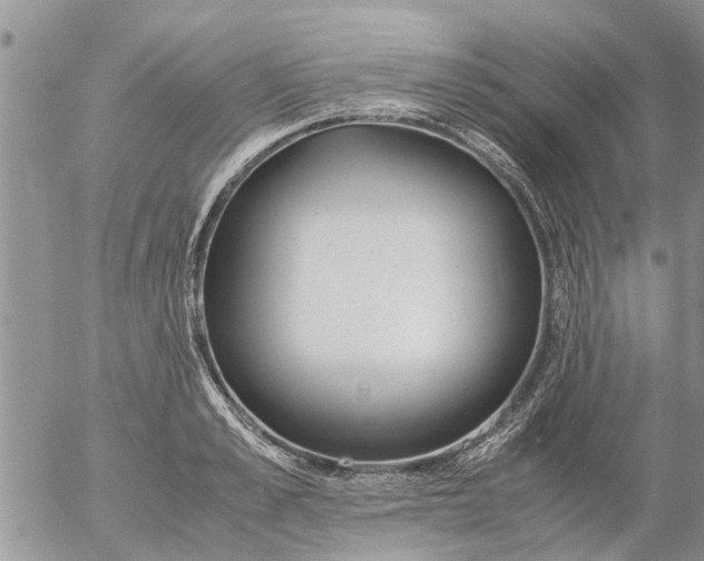 X0000053070989200508011935