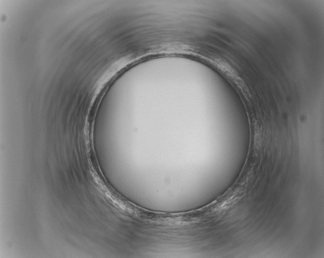 X0000053070990200508011935