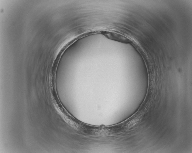 X0000053070991200508011935