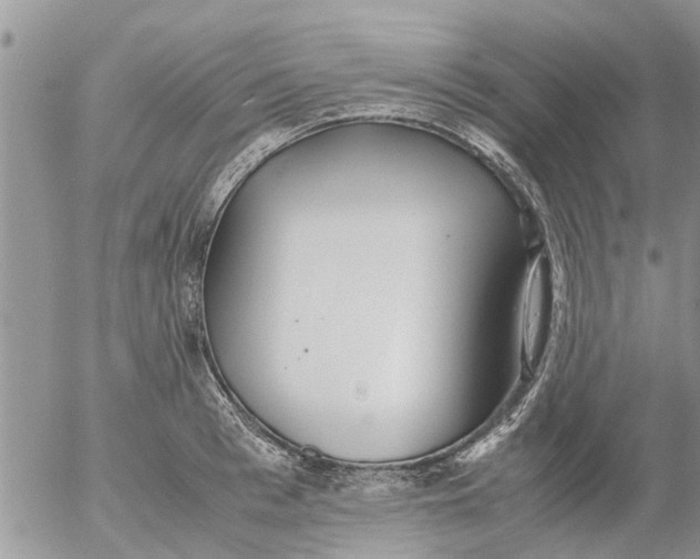 X0000053070993200508011935