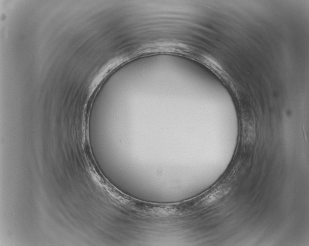 X0000053070994200508011935