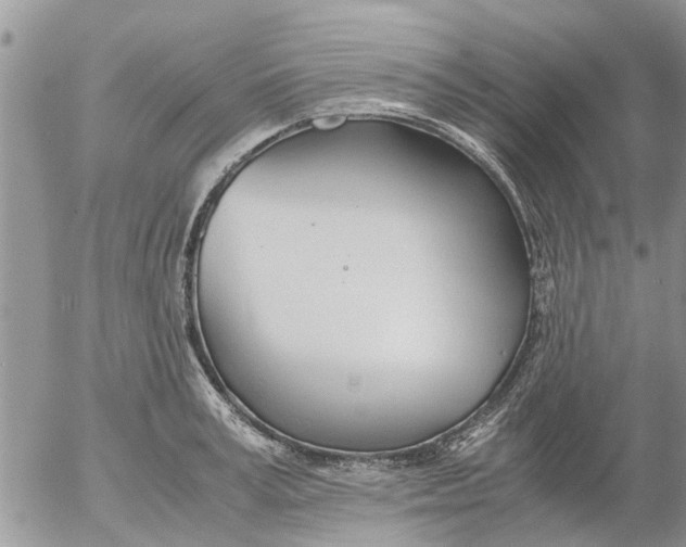 X0000053070995200508011935