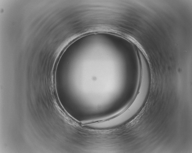 X0000053070996200508011935