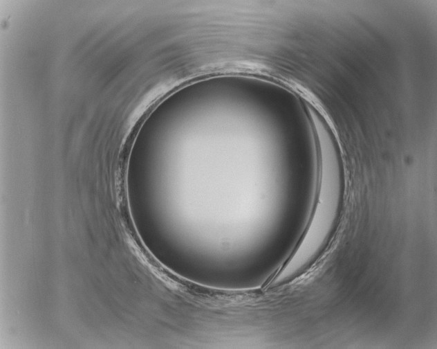 X0000053070997200508011935