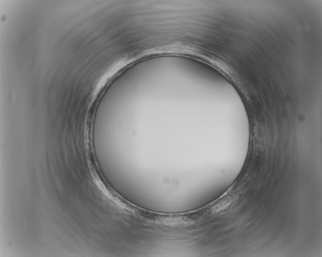 X0000053070998200508011935