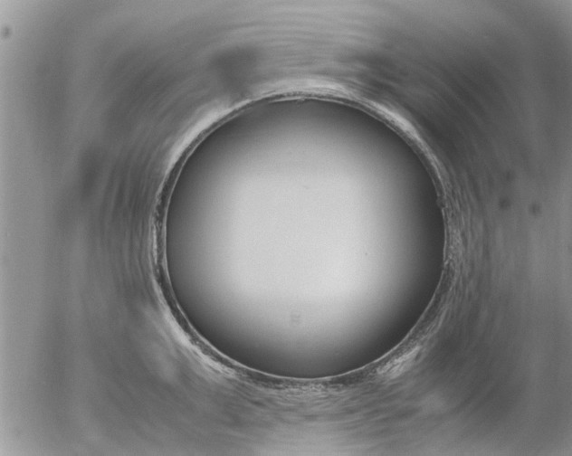 X0000053070999200508011935