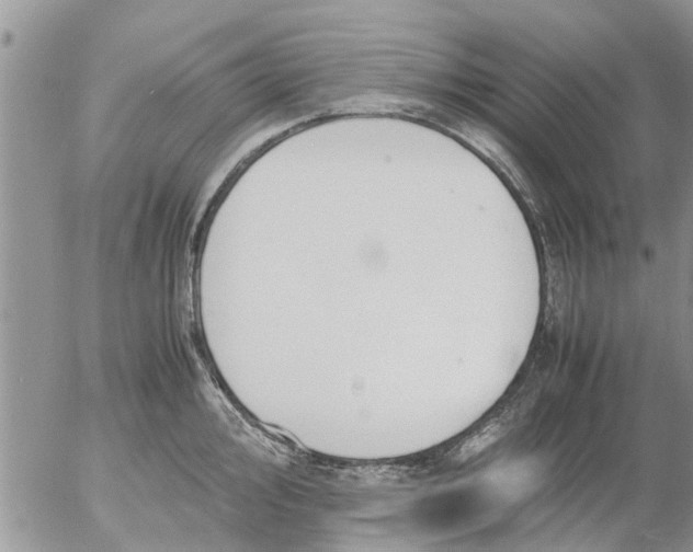 X0000053071000200508011935