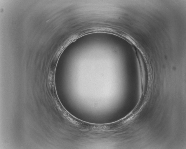 X0000053071001200508011935