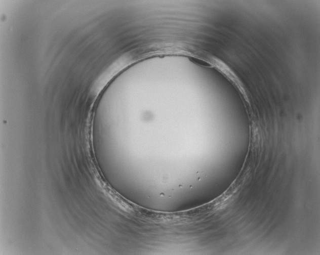 X0000053071002200508011935