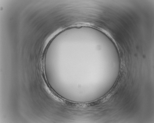 X0000053071003200508011935