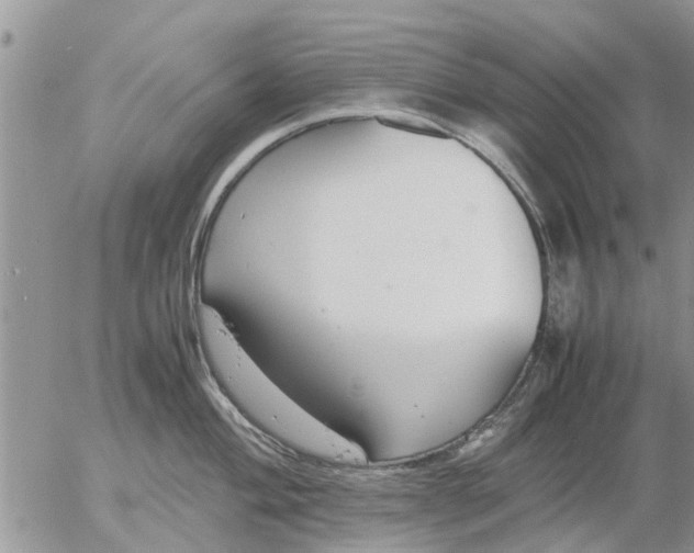 X0000053071004200508011935