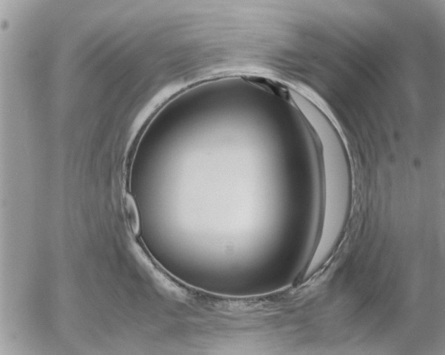 X0000053071005200508011935