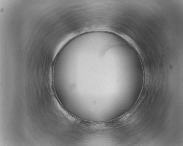 X0000053071006200508011935