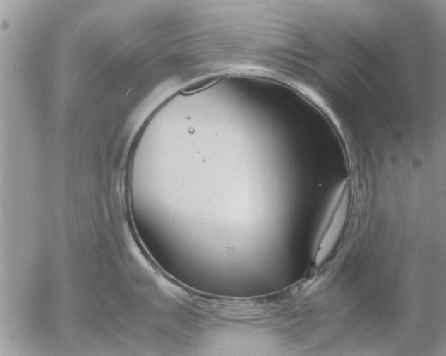 X0000053071007200508011935