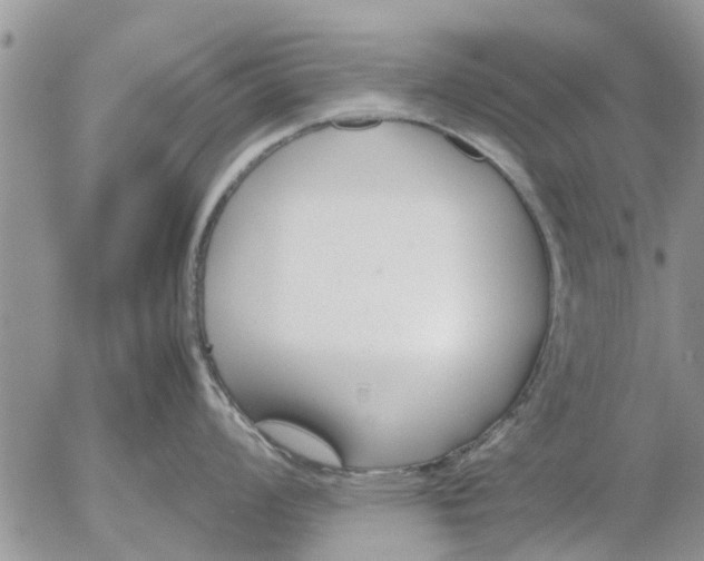 X0000053071008200508011935