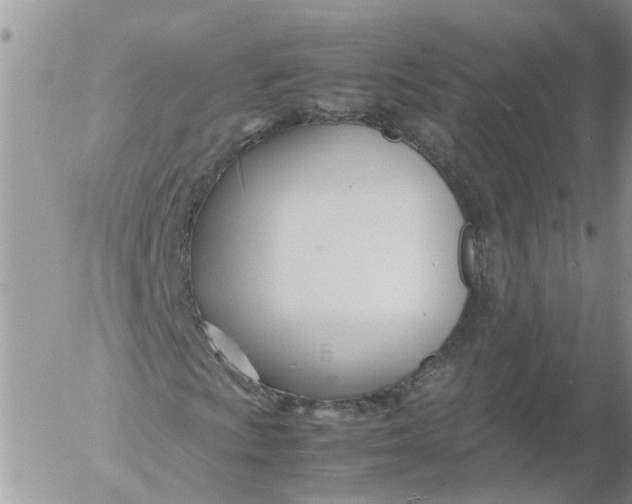 X0000053071009200508011934