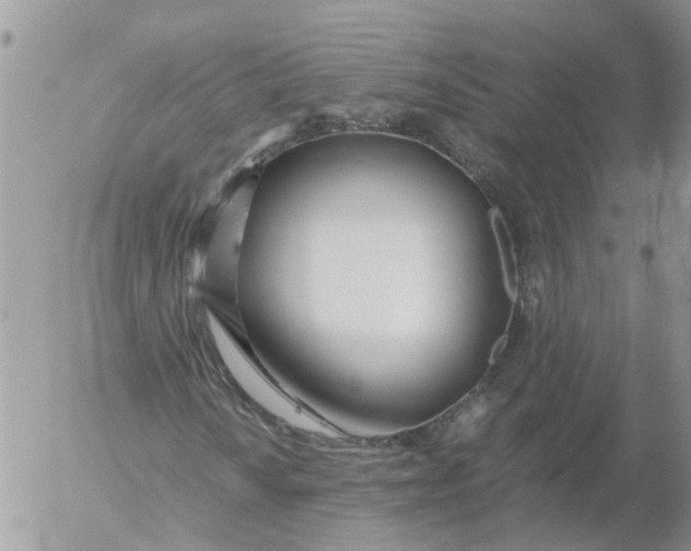 X0000053071010200508011934