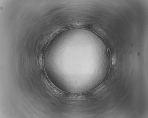 X0000053071011200508011934