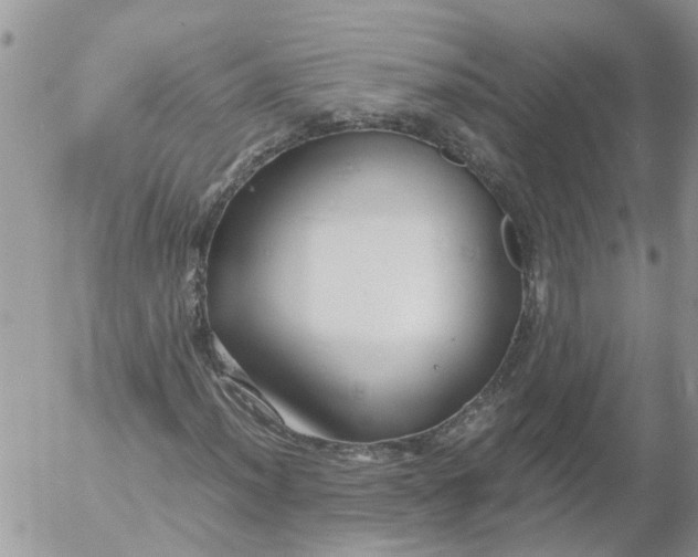 X0000053071012200508011934