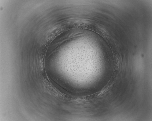 X0000053071013200508011934