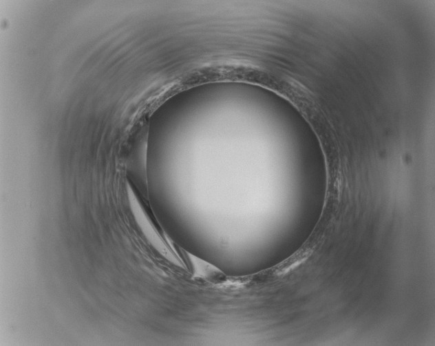 X0000053071014200508011934