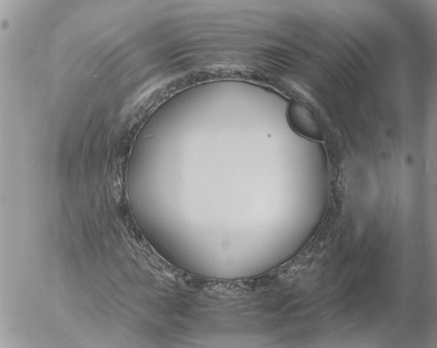 X0000053071015200508011934