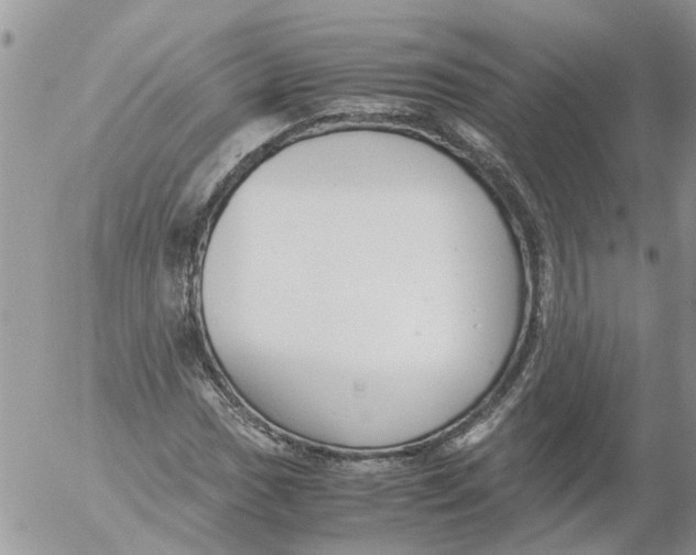 X0000053071017200508011934