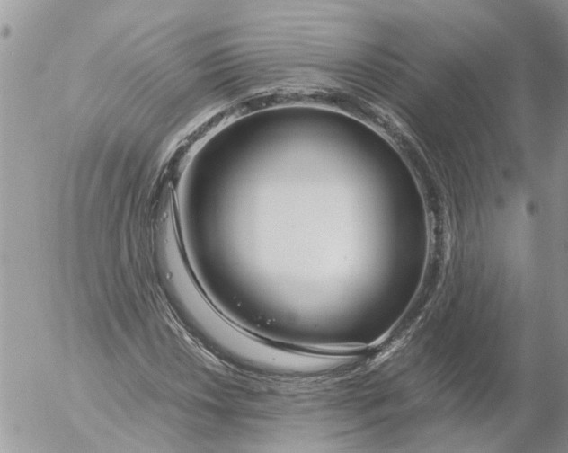 X0000053071018200508011934