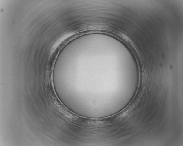 X0000053071019200508011934