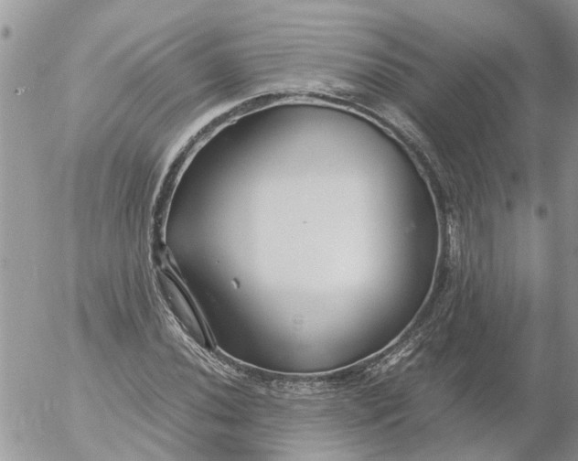 X0000053071020200508011934